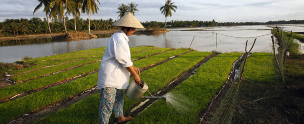 mekong-floating-garden